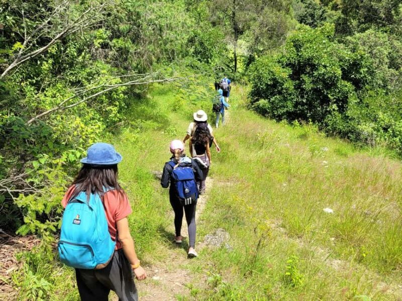 From Oaxaca: Apoala Magic Waterfalls Hike & Swim Adventure - Authentic Experiences and Traveler Feedback