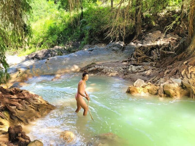 From Oaxaca: Apoala Magic Waterfalls Hike & Swim Adventure - Who Should Consider This Tour?