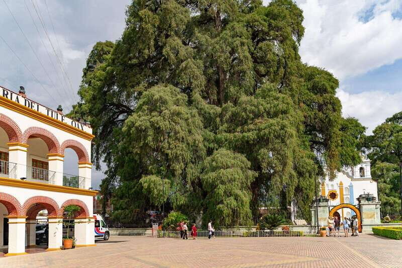 From Oaxaca: City, Mitla, and Mezcal Factory Tour - What to Expect from the Tour