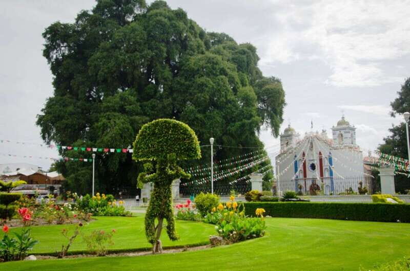 From Oaxaca: City, Mitla, and Mezcal Factory Tour - Final Thoughts