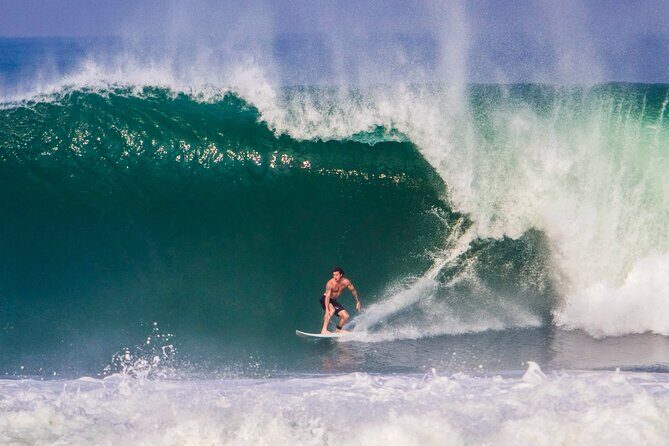 From Oaxaca de Juarez to Puerto Escondido - Private Transfer - Who Would Enjoy This Service?