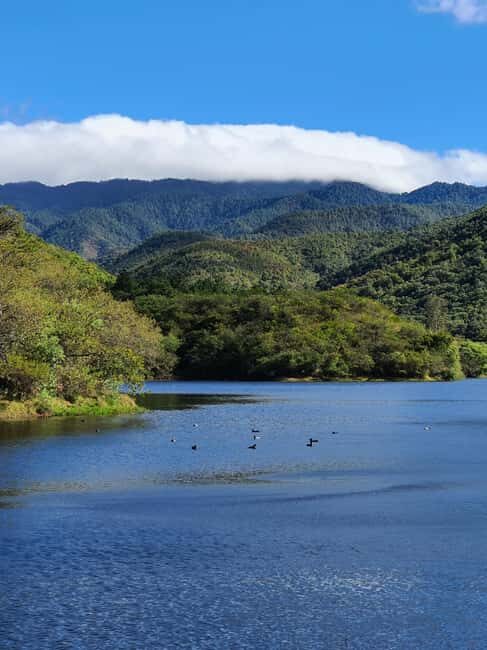 From Oaxaca: MTB Guided Bike Tour, Tule Tree & Lake Half-Day - FAQs