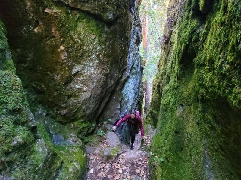 From Oaxaca: Sierra Norte Hike & Indigenous Village Full-Day - Final Thoughts