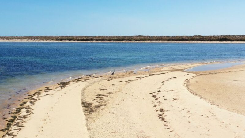 From Olhão: Ria Formosa 3-Island Full-Day Tour - FAQ