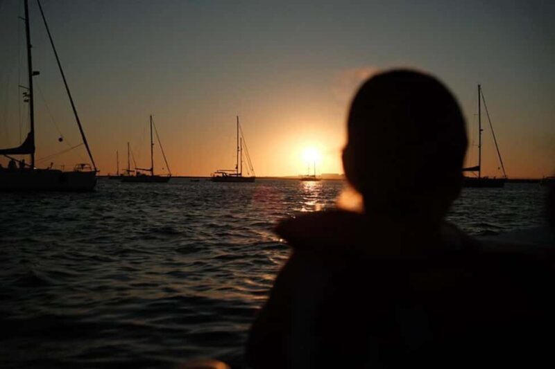 From Olhão: Ria Formosa Sunset Island Boat Tour - What to Expect from the Ria Formosa Sunset Tour