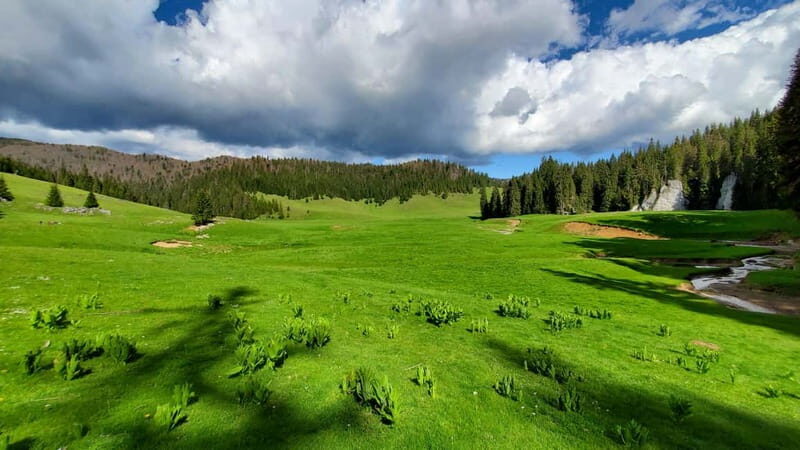 From Oradea: Apuseni Mountains Guided Hiking Tour - The Cost and Value