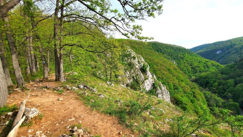 From Oradea: Gorges of Crisul Repede River - An In-Depth Look at the Crisul Repede Gorges Tour