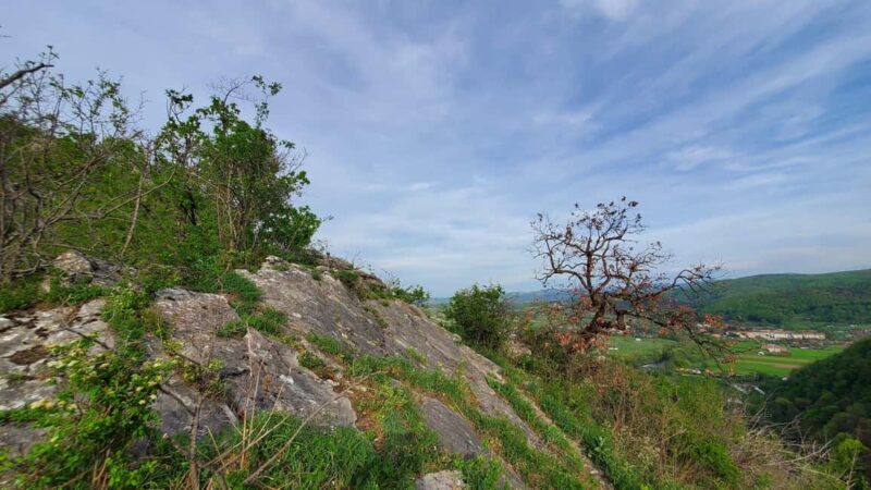 From Oradea: Gorges of Crisul Repede River - FAQs