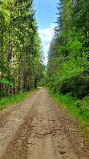 From Oradea: Mountain Bike around Lake Dragan - Key Points