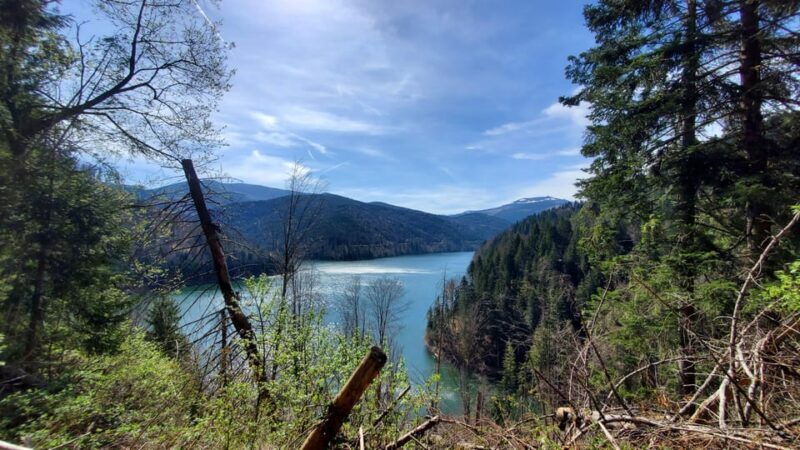 From Oradea: Mountain Bike around Lake Dragan - Who Should Consider This Tour?