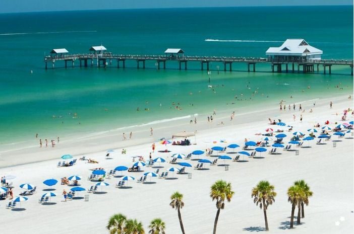 From Orlando: Clearwater Beach and Marine Aquarium Admission - Details on the Logistics