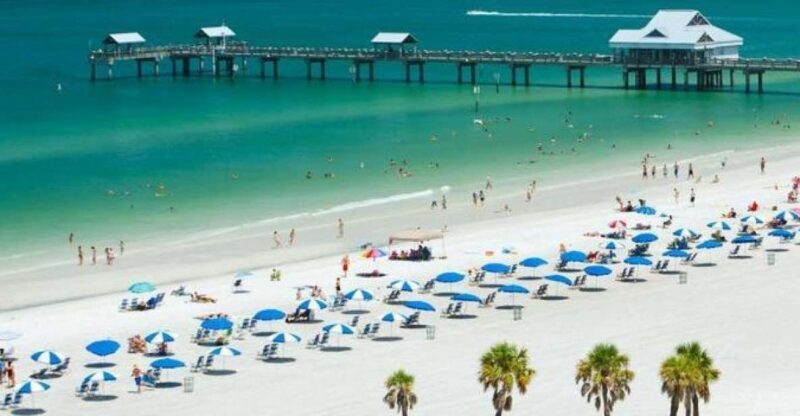From Orlando: Clearwater Beach and Marine Aquarium Admission - Final Thoughts: Who Should Consider This Tour?