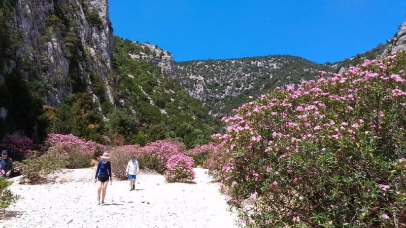From Orosei/Dorgali: Hike to Cala Luna - Guided Day Trip - FAQ