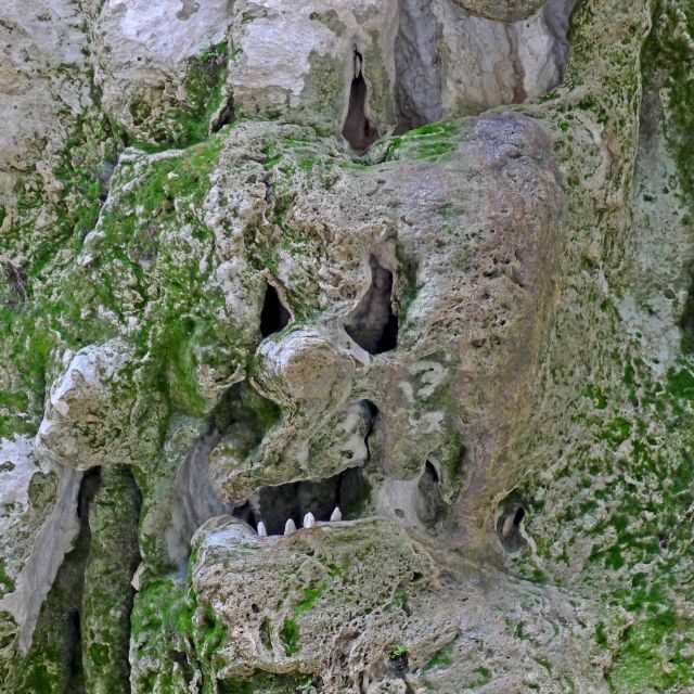 From Orosei or Dorgali: Trek to Gorropu with Panoramic Views - Cost and Value