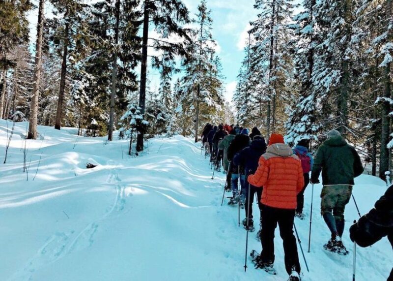 From Oslo: Oslomarka Forest Guided Snowshoeing Tour - What to Expect from the Snowshoeing Experience