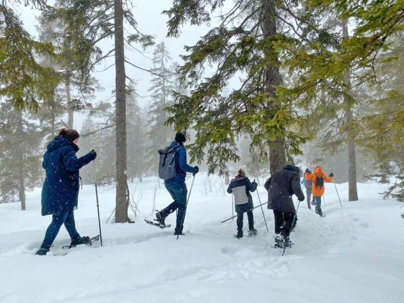 From Oslo: Oslomarka Forest Guided Snowshoeing Tour - FAQs