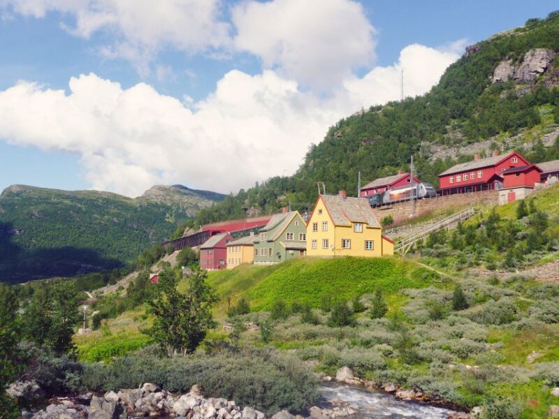 From Oslo: Private Round-Trip Tour to Sognefjord via Flåm - Key Points