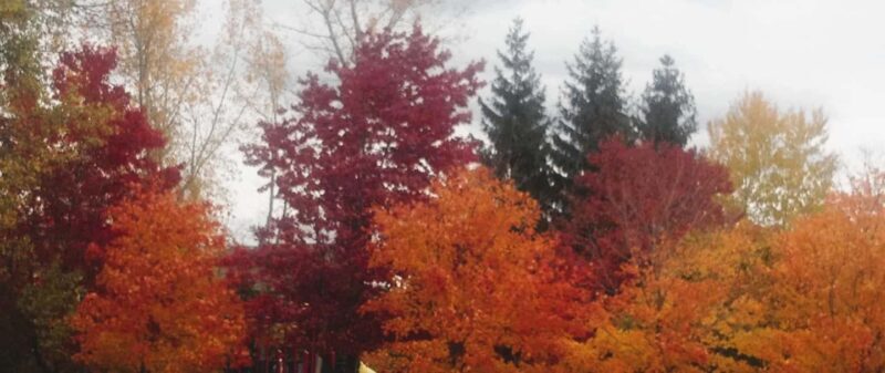 From Ottawa: Gatineau Park Fall Colors Guided Trip - From Ottawa: Gatineau Park Fall Colors Guided Trip — A Practical Look