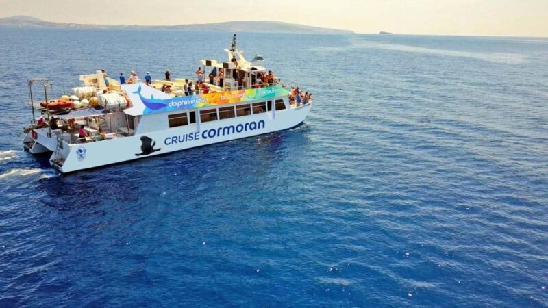 From Paguera: Dolphin Watching Cruise in a Glass-Bottom Boat - Exploring the Experience in Detail