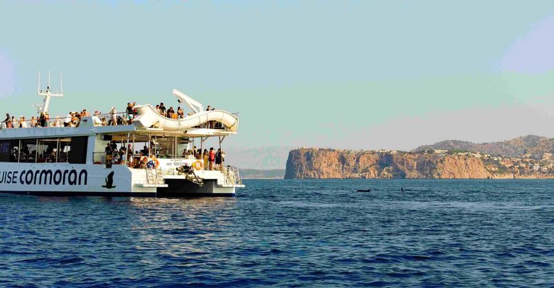 From Paguera: Dolphin Watching Cruise in a Glass-Bottom Boat - The Southwest Coast Scenery: More Than a Background