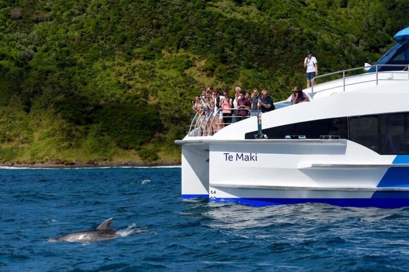 From Paihia: Full-Day Bay of Islands Cruise - Who Will Love This Tour?