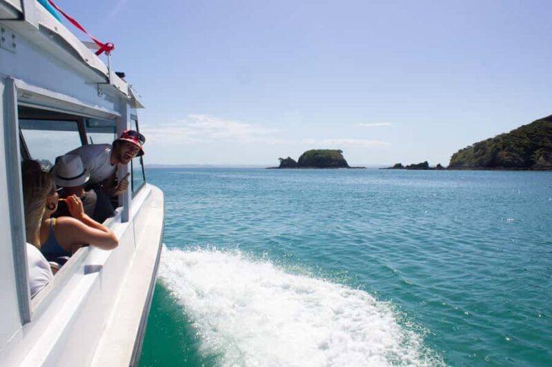 From Paihia: Hole in the Rock Cruise & Island Tour: 3 Hour - The Value for Money
