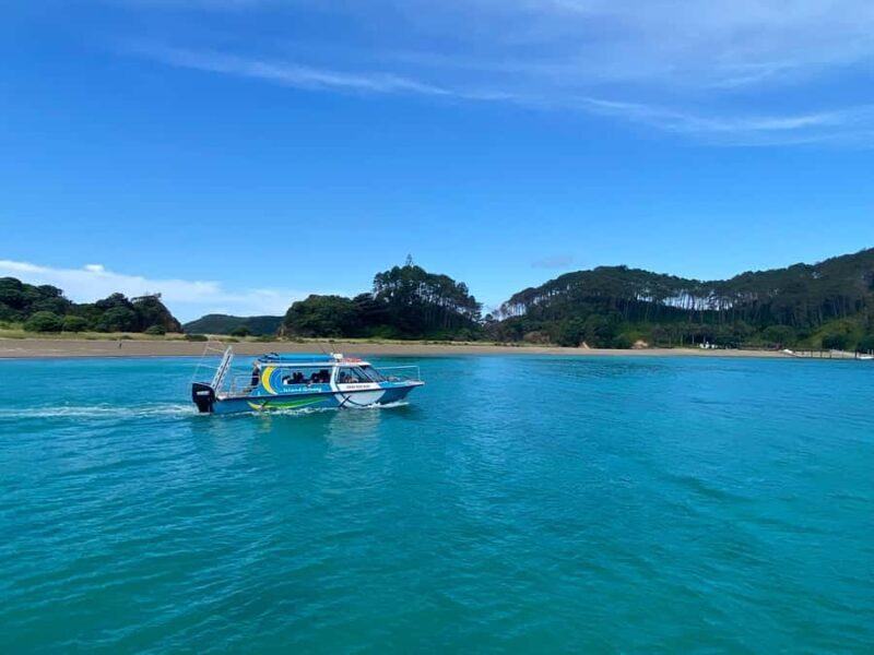 From Paihia: Hole in the Rock Cruise & Island Tour: 3 Hour - FAQ