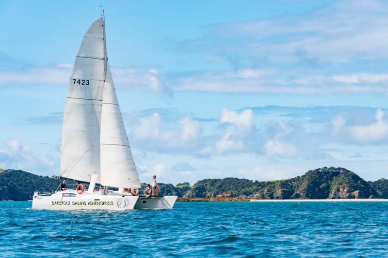 From Paihia: Island-Hopper Sailing Cruise with Picnic Lunch - Key Points