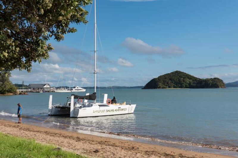 From Paihia: Island-Hopper Sailing Cruise with Picnic Lunch - Authentic Reviews from Travelers