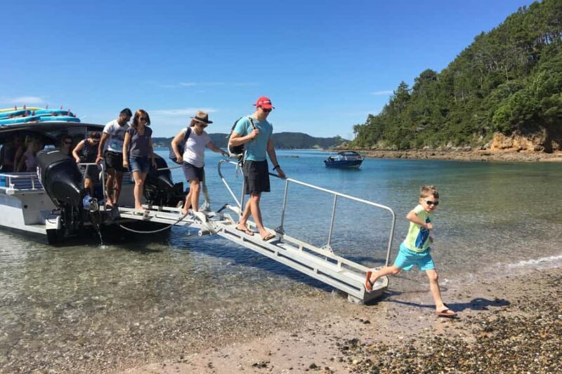 From Paihia: Scenic Cruise with Roberton Island Stopover - Exploring the Details of the Tour
