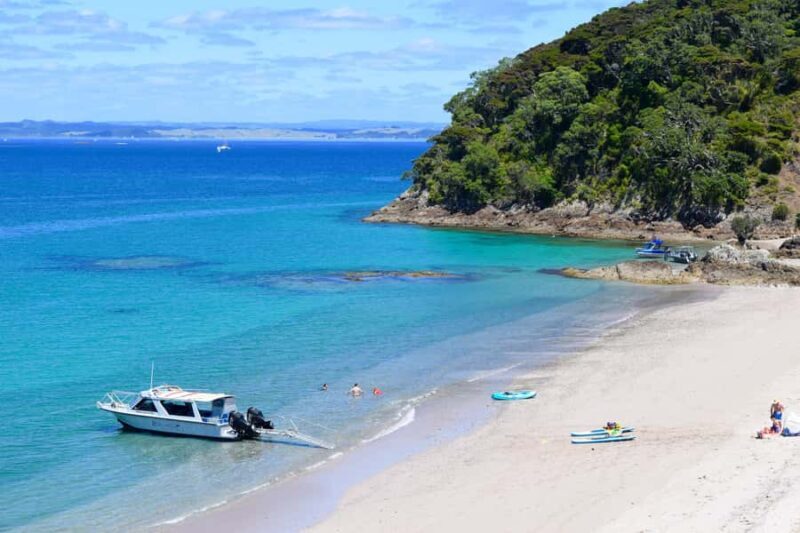 From Paihia: Scenic Cruise with Roberton Island Stopover - FAQ