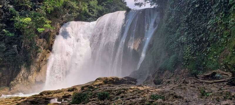 From Palenque: El Salto Waterfall Private Tour - The Experience Provider and Booking Flexibility