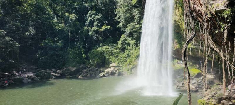 From Palenque: Misol-Ha & Agua Azul Waterfalls Day Tour - Key Points