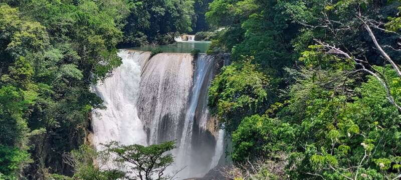 From Palenque: Roberto Barrios and El Salto Waterfalls Tour - Key Points