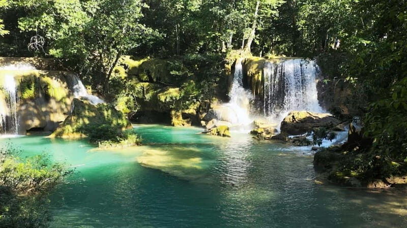 From Palenque: Tour of the Roberto Barrios Waterfalls - The Experience: What You’ll Really Do