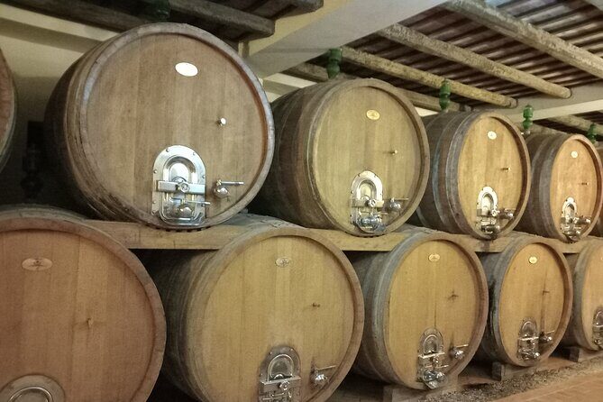 From Palermo Sicilian Retreat Erice & Marsala Tour with Lunch - Timing and Pacing