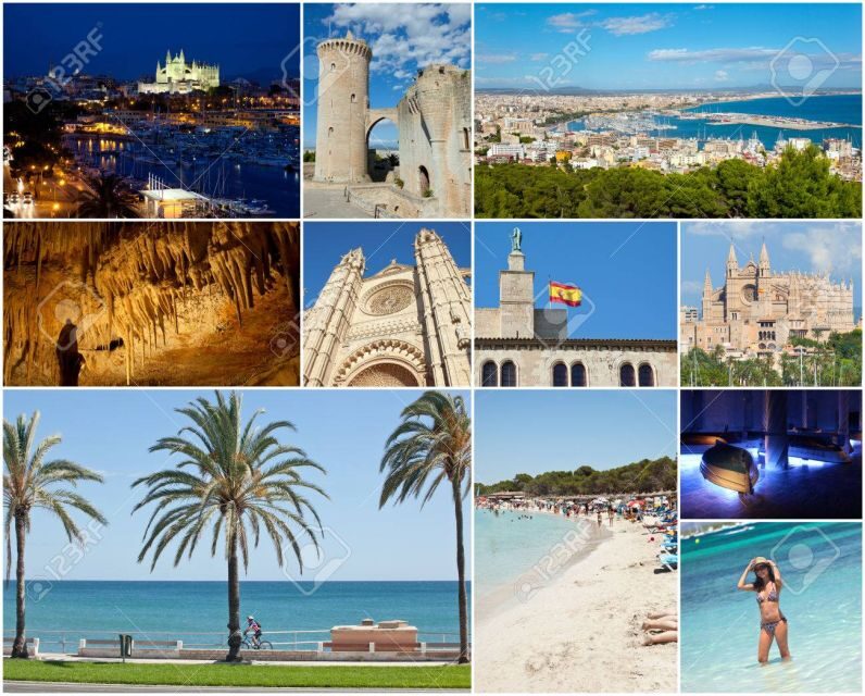 From Palma: Alcudia Town and Port de Pollença Guided Tour - What to Expect on the Tour