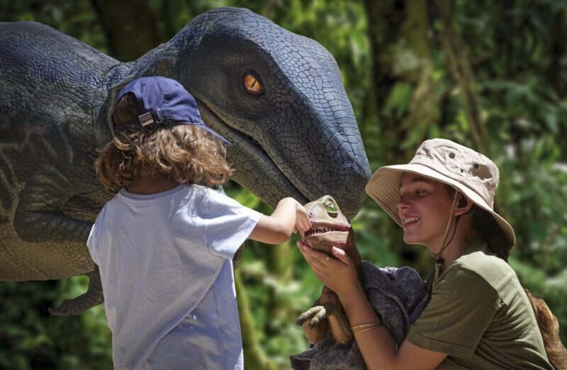 From Palma de Mallorca: Dinosaurland tour - Key Points
