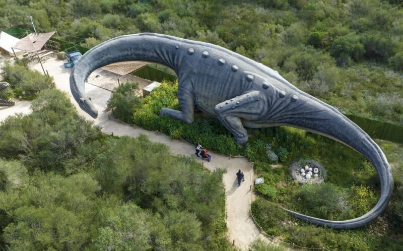 From Palma de Mallorca: Dinosaurland tour - Starting Point and Transportation