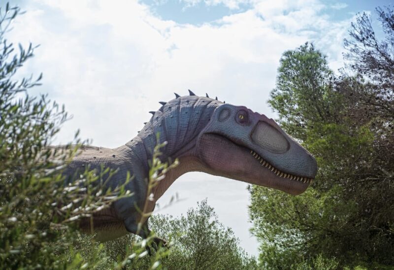From Palma de Mallorca: Dinosaurland tour - The Dinosaur Show