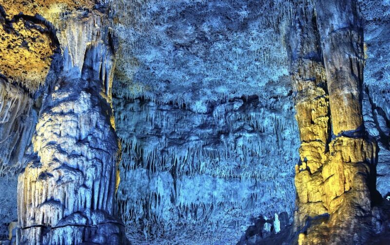 From Palma de Mallorca: Dinosaurland tour - Visiting the Prehistoric-themed Bar and Souvenir Shop