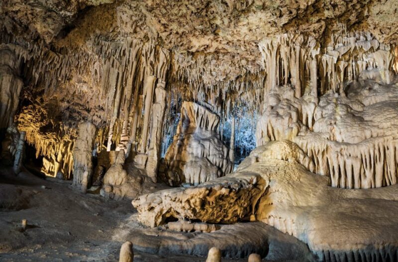 From Palma de Mallorca: Dinosaurland tour - Return Journey and Wrap-up