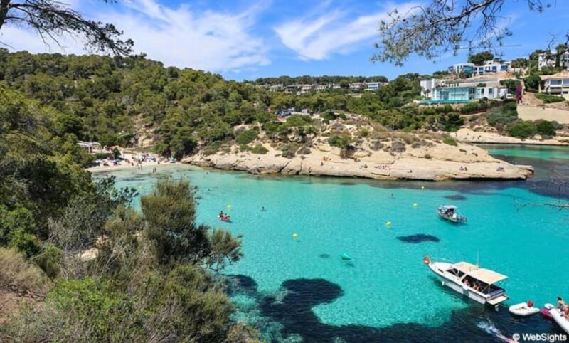 From Palma: Portal Vells Beach and Cave SUP & Snorkel Tour - Key Points