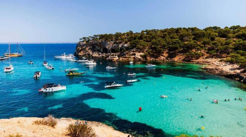 From Palma: Portal Vells Beach and Cave SUP & Snorkel Tour - Who Is This Tour Best For?