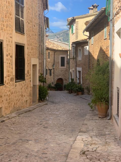 From Palma: Soller valley walk and picnic in orange farm - FAQ