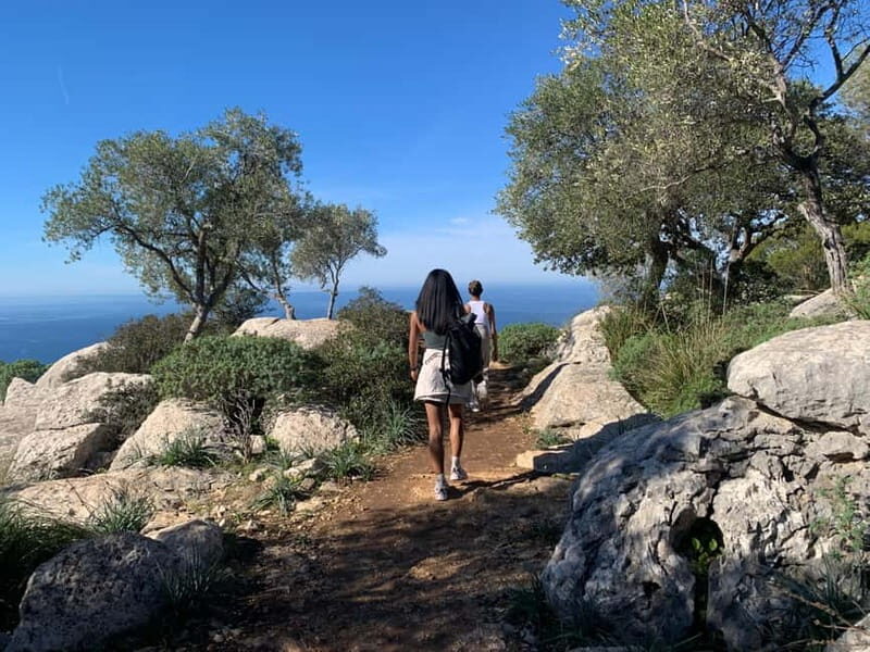From Palma: Valldemossa Tour and Mountain Viewpoint Hike - Key Points