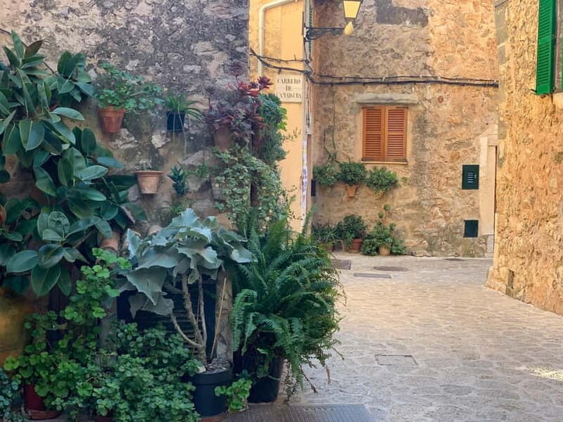 From Palma: Valldemossa Tour and Mountain Viewpoint Hike - Practical Details and Considerations