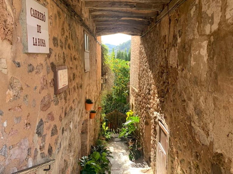 From Palma: Valldemossa Tour and Mountain Viewpoint Hike - Is This Tour Right for You?