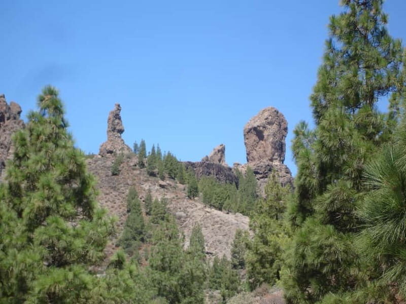 From Palmas: Pico de las Nieves & Roque Nublo Full-Day Trip - Final Thoughts: Who Should Book This Tour?