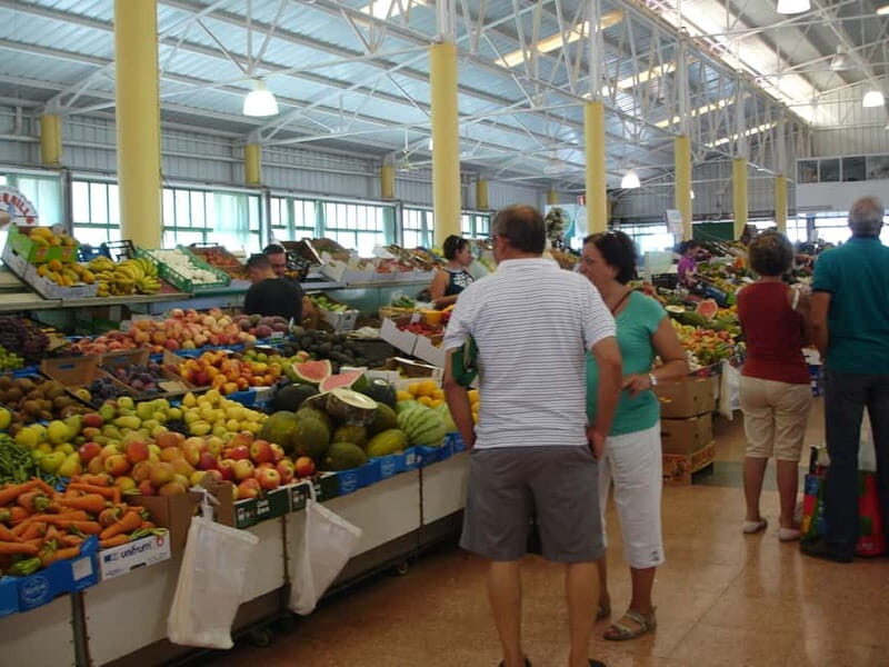 From Palmas: Pico de las Nieves & Roque Nublo Full-Day Trip - Frequently Asked Questions